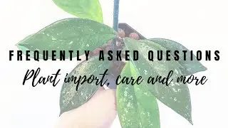 Frequently Asked Questions: Plant import, care and more