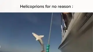 ARK Slander (ARK Memes)
