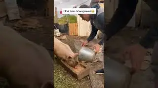 Какой я тебе зайчик?! 🤔