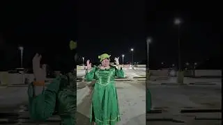 What Is A Shrek Rave?