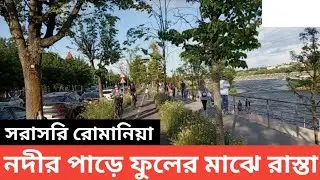 রোমানিয়া  নদীর পাড়ে ফুলের মাঝে রাস্তা  | europe tour | romania