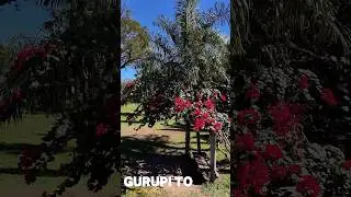 Gurupi Tocantins | Nosso Tocantins #tocantins