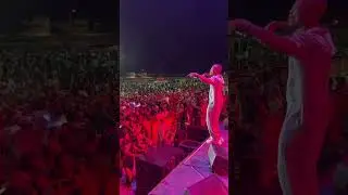 Janco Janner en concierto