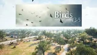 Birds Update v3.5