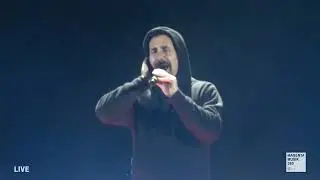 System Of A Down - Deer Dance live [ROCK AM RING 2017]