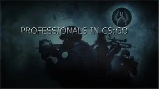 Professionals in CS:GO #1 (Counter-Strike Global Offensive)