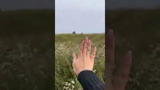 Жига уже облегчилась, будет ещё легче😁 