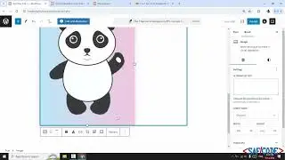 Astra Starter Template Installation and WordPress Post User Role COMPLETE in 2024!