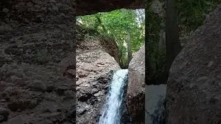 My short vlog from a day of nature travel 💚🌴🌊