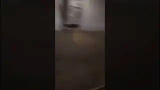 Эдисон Эд эдюшанька