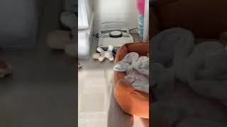 Да вот так у меня теперь 🤨