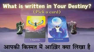 🌈 What is written in your Destiny - Pick a Card | Tarot card reading in hindi 🎴 (TImeless Tarot)