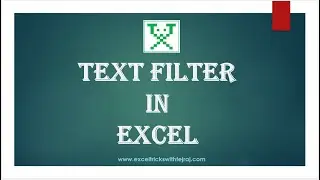 Text Filter in Excel