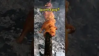 Eat a Guinea Pig? Andean Culture