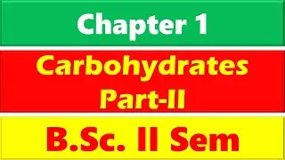 Glucose | Carbohydrates in Hindi-Part II | Properties of Glucose | Kiliani- Fischer | Ruff Method