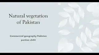 commercial  geography pak portion ch#4 Grade 12 notes