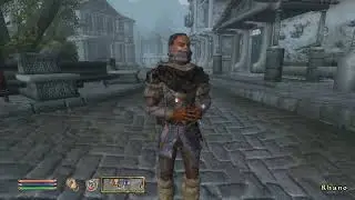 oblivion npc talks to themself