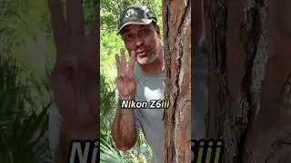 The Z6iii Is Coming! #shorts #z6iii #nikon #wildlifephotography #birdphotography #BIF