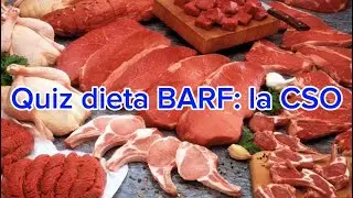 Quiz dieta BARF: la CSO