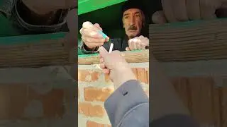 9 ноября 2023 г.
