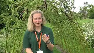 Ruth - English Study Camps Staff Testimonial