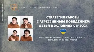 Стратегия работы с агрессивным поведением детей в условиях стресса  (Вопросы психологов)