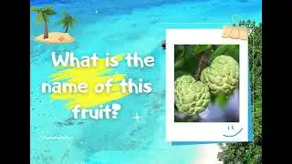 Hainan fruit quiz!