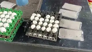 किसी भी स्टेशन पे अंडा बिरियानी खाने से पहले सोच लेना