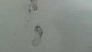 следы