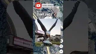 i found giant eagle 🦅 on Google map and google earth #googleearth #map #earth #discoveryonearth85
