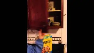 IMG 0921