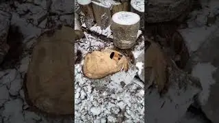 Fiskars pokara xa2 testissä. @haahuilua
