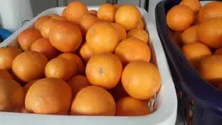Portakal Şurubu Nasıl Yapılır? Portakal Suyu Nasıl Yapılır? Yazdan Kışa Portakal Şurubu Saklama
