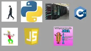 Choose a Programming Language as a Professional Engineer (Ex-Googler)