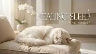 Sleep Music for Cats 🐈 Anxiety Relief & Healing Sounds to Calm Stress & Relax Instantly