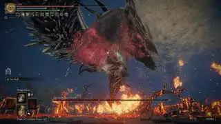 Woops