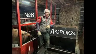 №6 Бункерная кормушка для поросят