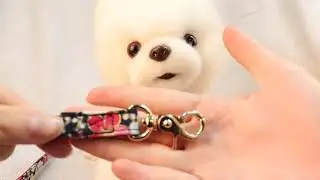 Dog Kimono leather collar