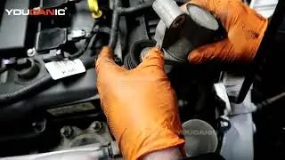 2012-2019 Ford Focus - Tensioner Pulley Replacement 2.0L Engine