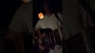 Guitar jam at night with the crickets and toads 🦗 🐸#guitar #bluesguitar #guitarcam