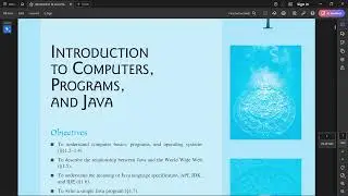 The best book for Java programming.