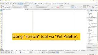 01 13 Using Stretch tool via Pet Palette