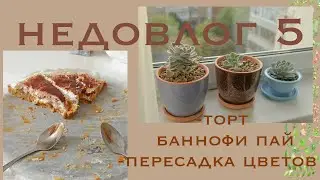 Недоvlog 5 || готовим баннофи пай и пересаживаю суккулент
