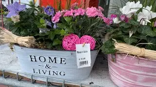 What flower shops offer for a bright autumn # Garden and home decor # Cereals