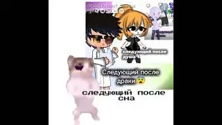 цепочка #мем #рекомендации #кот