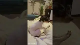 Мы не знаем, что это такое.  Очень страшно