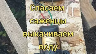 Шахтеры могут все!!💪 Муж придумал устройство для откачки воды . Спасаем саженцы💪