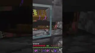 Thousands of Piglins #minecraft