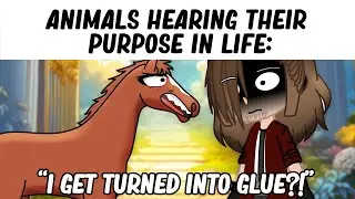 TikToks That Are Too Funny 😭