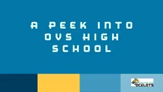 A Peek Into High School